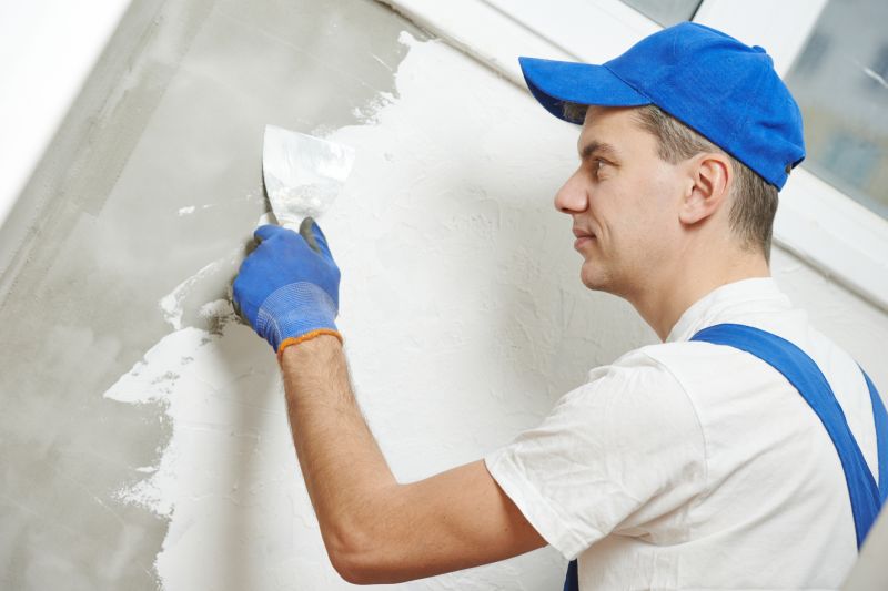 Plaster Repair