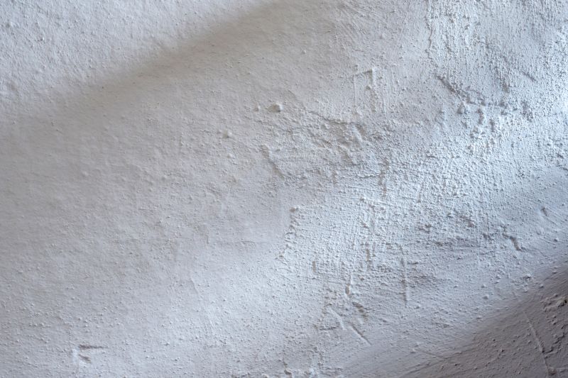 Type of Plaster