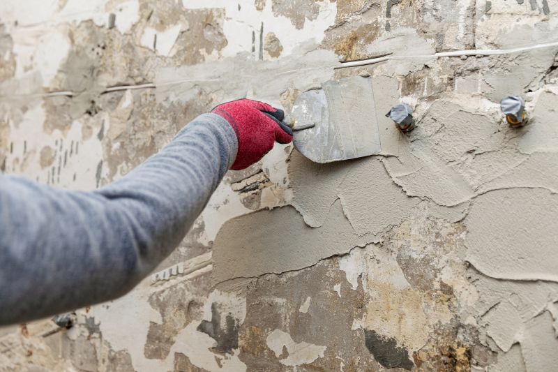 Plaster Repair
