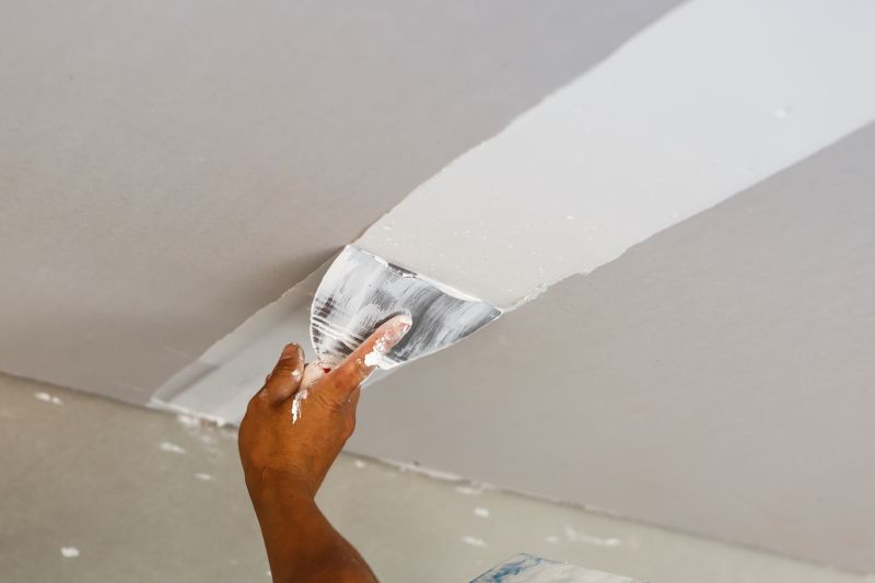Plaster Repair