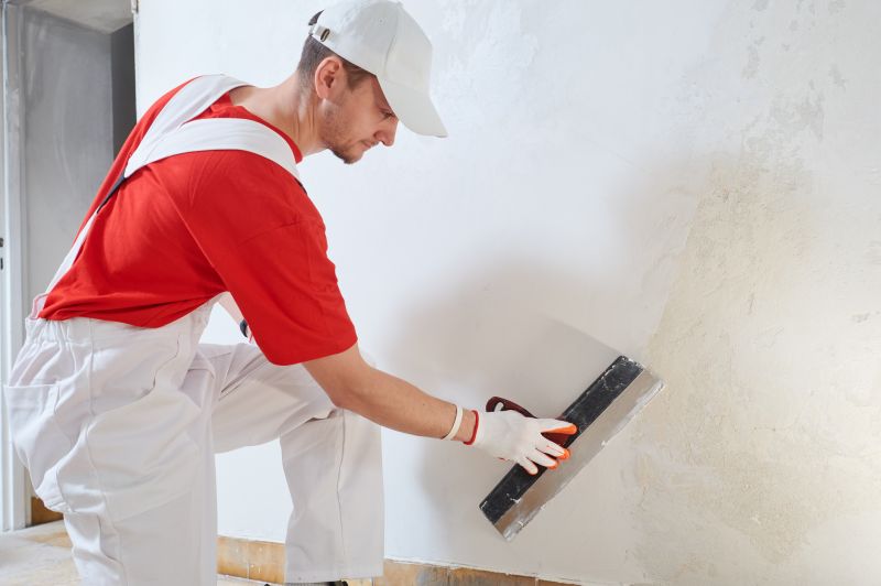 Plaster Repair